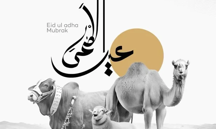 صور خروف العيد