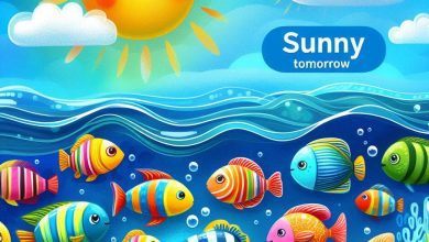 ماهي وضعیت هوای فردا حالة الطقس في اليمن 13 يونيو 2025