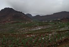 حالة الطقس في اليمن 18 يوليو 2025