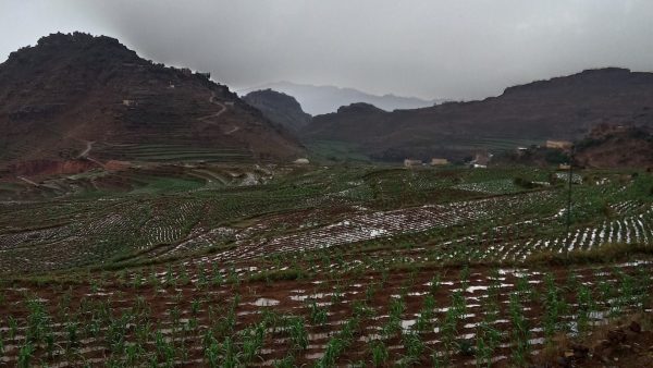 حالة الطقس في اليمن 18 يوليو 2025