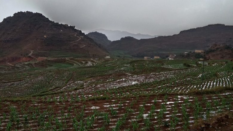 حالة الطقس في اليمن 18 يوليو 2025