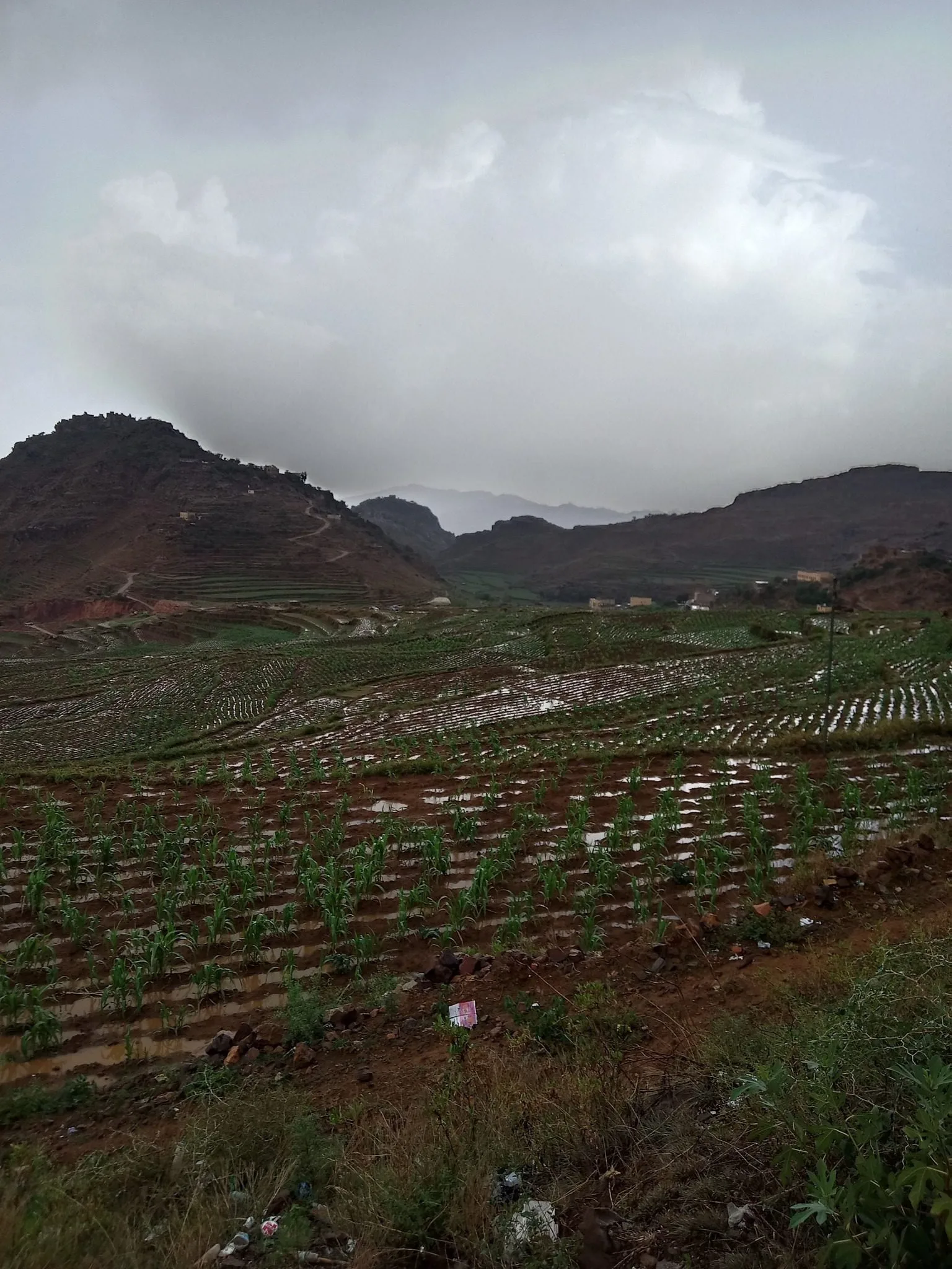 حالة الطقس في اليمن 18 يوليو 2025