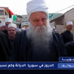 drozsyria
