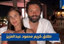 طلاق كريم محمود عبدالعزيز وزوجته آن الرفاعي