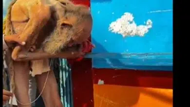 أكبر رجل معمر 200