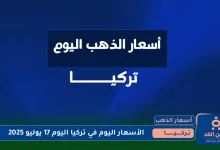 torish17 7 2025