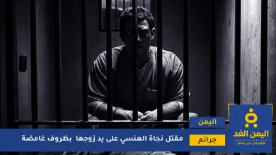 نجاة العنسي