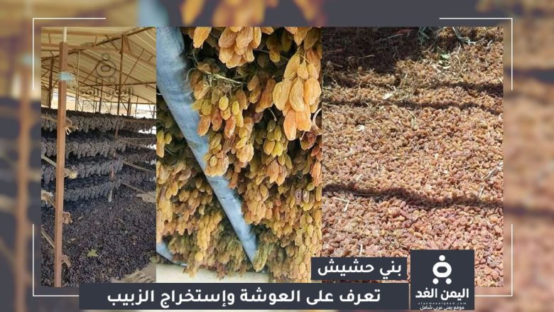 موسم "العوشة" في بني حشيش