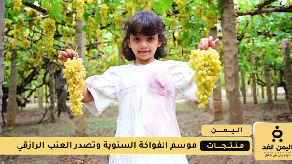 موسم الفواكة السنوية وتصدر العنب الرازقي لهذا العام
