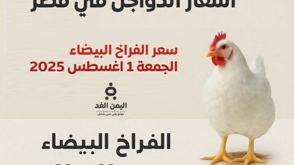 أسعار الدواجن اليوم الجمعة 1 أغسطس 2025