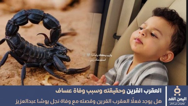 نفي وجود العقرب القرين بعد حادثة وفاة عساف ولد يوشا عبدالعزيز
