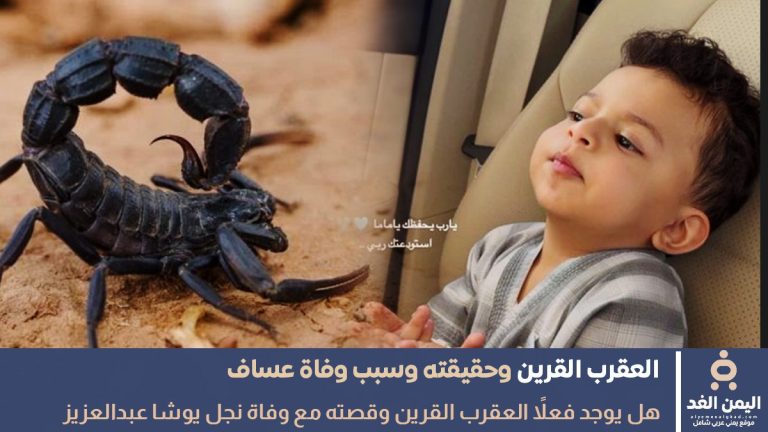 نفي وجود العقرب القرين بعد حادثة وفاة عساف ولد يوشا عبدالعزيز