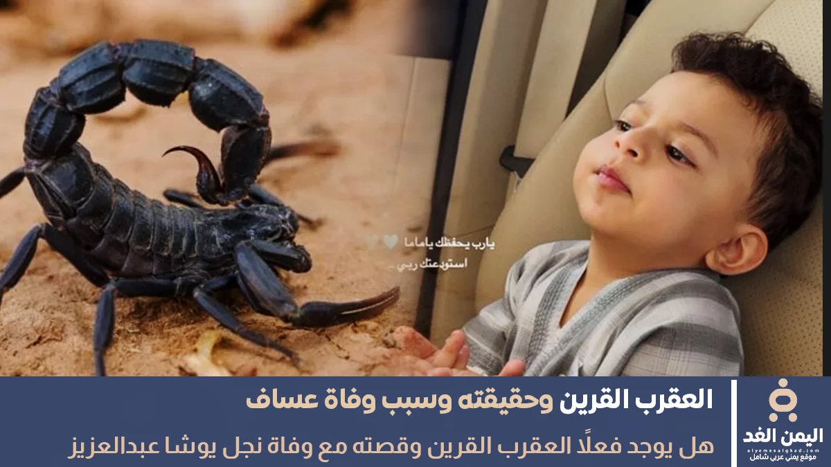 نفي وجود العقرب القرين بعد حادثة وفاة عساف ولد يوشا عبدالعزيز نفي وجود العقرب القرين بعد حادثة وفاة عساف ولد يوشا عبدالعزيز