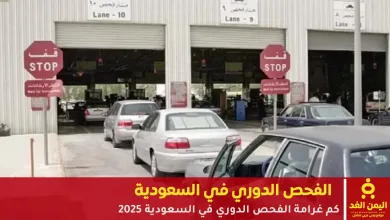 الفحص الدوري